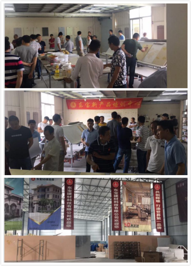 东宝新品培训会